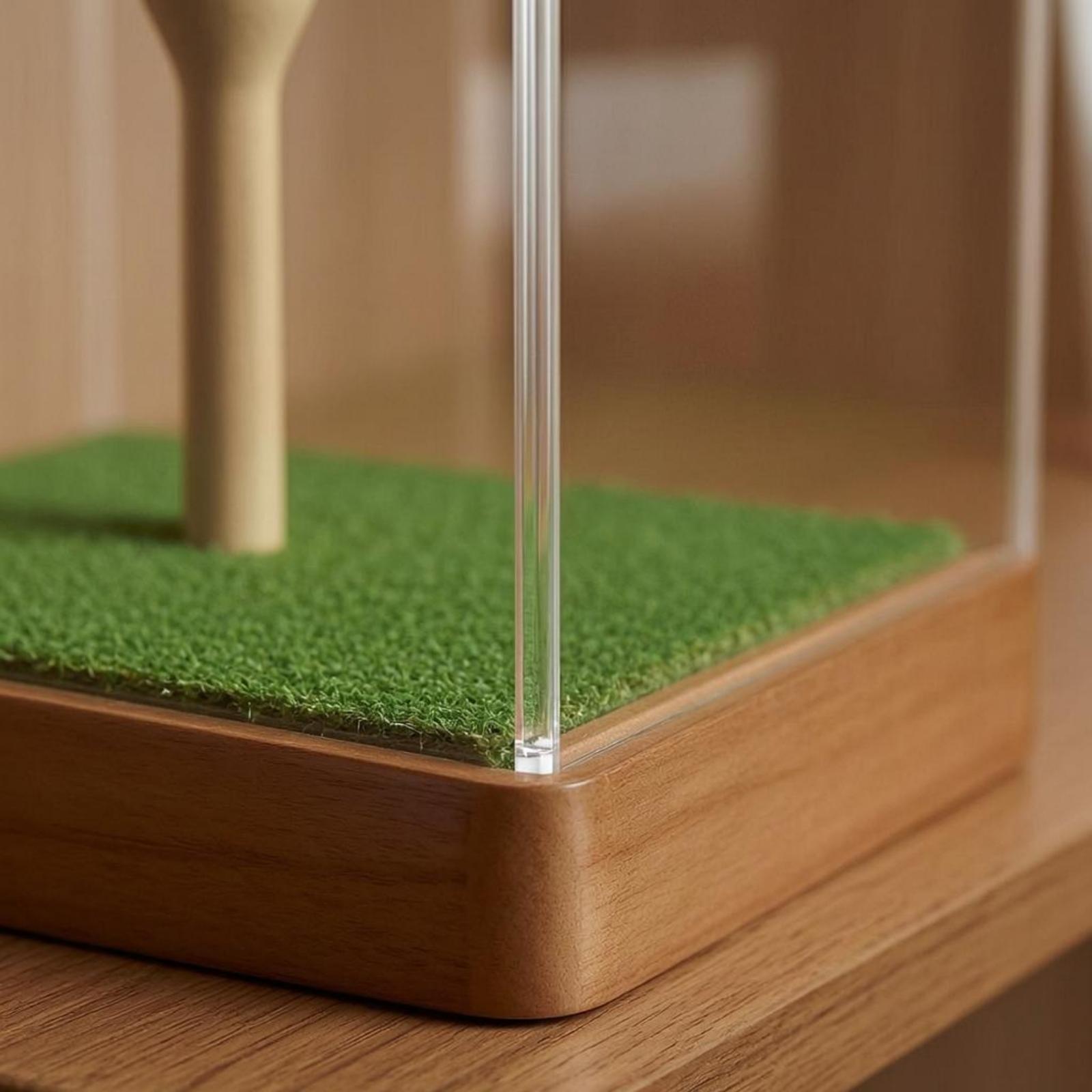 Estuche para Pelotas de Golf,  - Home Decor Organizer reseña y precio
